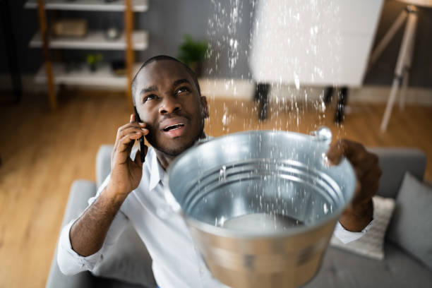 Best Water damage cleanup near me  in New York Mills, MN