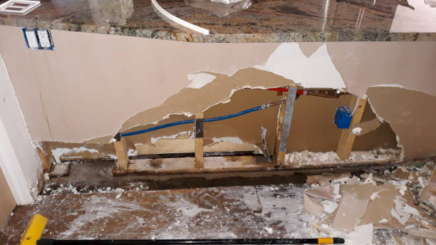Best Water damage mitigation services  in New York Mills, MN
