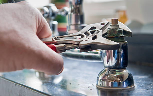 Best Professional water damage repair  in New York Mills, MN